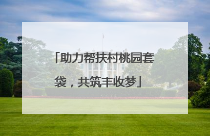 助力帮扶村桃园套袋，共筑丰收梦