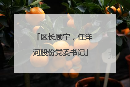 区长顾宇，任洋河股份党委书记