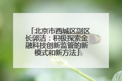 北京市西城区副区长郭洁：积极探索金融科技创新监管的新模式和新方法
