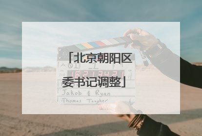 北京朝阳区委书记调整