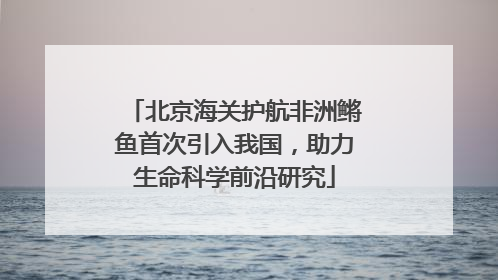 北京海关护航非洲鳉鱼首次引入我国，助力生命科学前沿研究