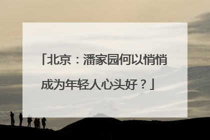 北京：潘家园何以悄悄成为年轻人心头好？