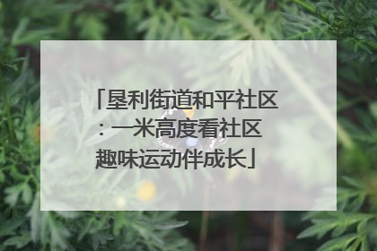 垦利街道和平社区：一米高度看社区 趣味运动伴成长