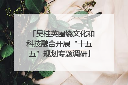 吴桂英围绕文化和科技融合开展“十五五”规划专题调研