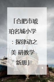 合肥市琥珀名城小学：探律动之美 研教学新思