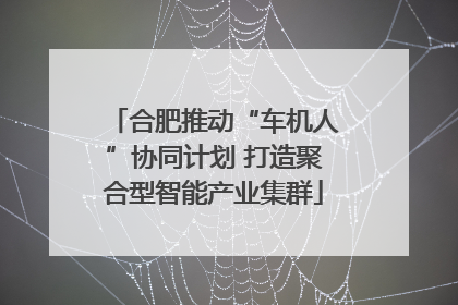 合肥推动“车机人”协同计划 打造聚合型智能产业集群