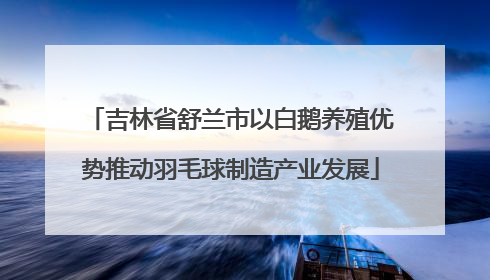 吉林省舒兰市以白鹅养殖优势推动羽毛球制造产业发展