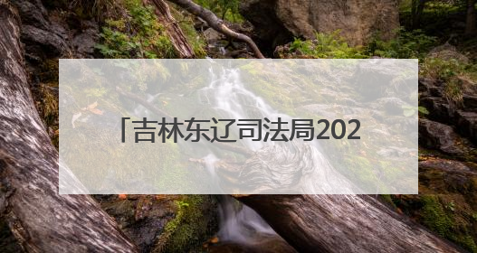 吉林东辽司法局2024年成绩单：调解2000+纠纷，1.7万份普法材料飞入百姓家！