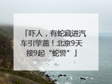 吓人，有蛇藏进汽车引擎盖！北京9天接9起“蛇警”