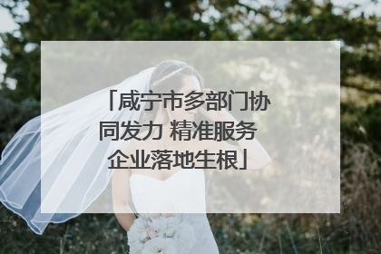 咸宁市多部门协同发力 精准服务企业落地生根