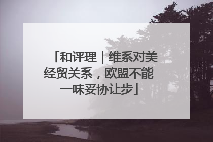 和评理｜维系对美经贸关系，欧盟不能一味妥协让步