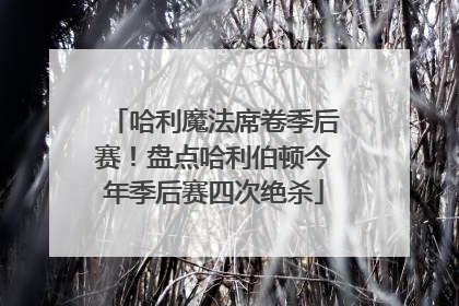 哈利魔法席卷季后赛！盘点哈利伯顿今年季后赛四次绝杀