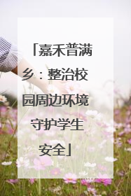 嘉禾普满乡：整治校园周边环境 守护学生安全