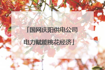 国网庆阳供电公司电力赋能桃花经济