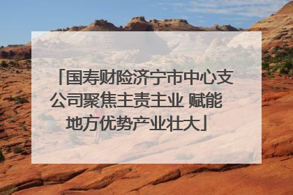 国寿财险济宁市中心支公司聚焦主责主业 赋能地方优势产业壮大
