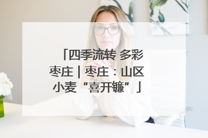 四季流转 多彩枣庄｜枣庄：山区小麦“喜开镰”