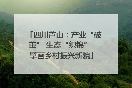 四川芦山：产业“破茧” 生态“织锦” 擘画乡村振兴新貌