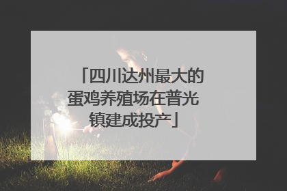 四川达州最大的蛋鸡养殖场在普光镇建成投产