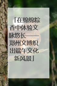 在绵绵粽香中体验文脉悠长——郑州文博织出端午文化新风景
