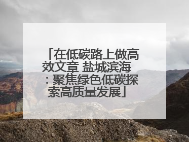 在低碳路上做高效文章 盐城滨海：聚焦绿色低碳探索高质量发展