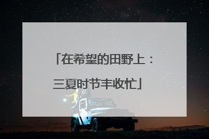 在希望的田野上：三夏时节丰收忙
