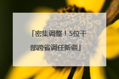 密集调整！5位干部跨省调任新疆
