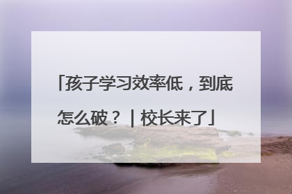 孩子学习效率低，到底怎么破？｜校长来了