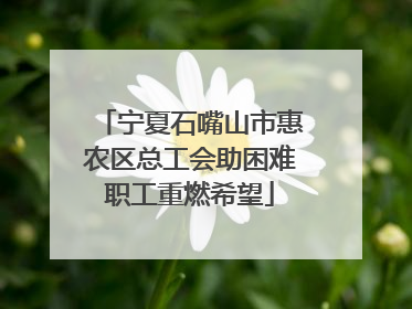 宁夏石嘴山市惠农区总工会助困难职工重燃希望
