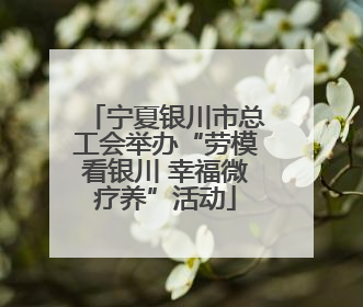 宁夏银川市总工会举办“劳模看银川 幸福微疗养”活动