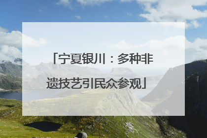 宁夏银川：多种非遗技艺引民众参观