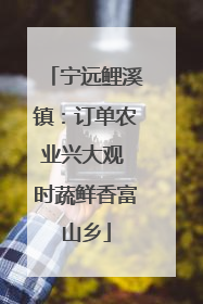 宁远鲤溪镇：订单农业兴大观 时蔬鲜香富山乡