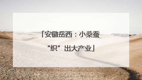 安徽岳西：小桑蚕“织”出大产业