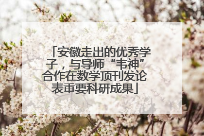 安徽走出的优秀学子，与导师“韦神”合作在数学顶刊发论表重要科研成果