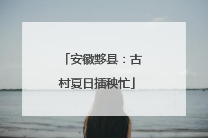 安徽黟县：古村夏日插秧忙