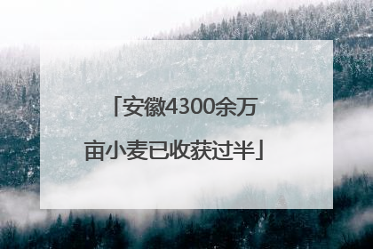 安徽4300余万亩小麦已收获过半
