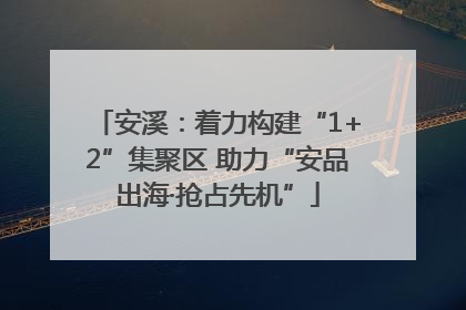 安溪：着力构建“1+2”集聚区 助力“安品出海·抢占先机”