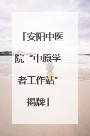 安阳中医院“中原学者工作站”揭牌