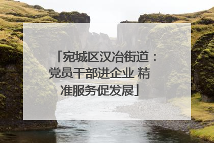 宛城区汉冶街道：党员干部进企业 精准服务促发展