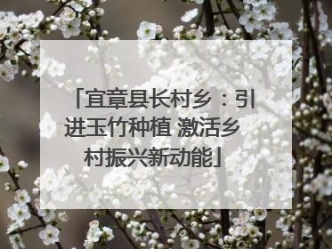 宜章县长村乡：引进玉竹种植 激活乡村振兴新动能