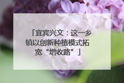 宜宾兴文：这一乡镇以创新种植模式拓宽“增收路”