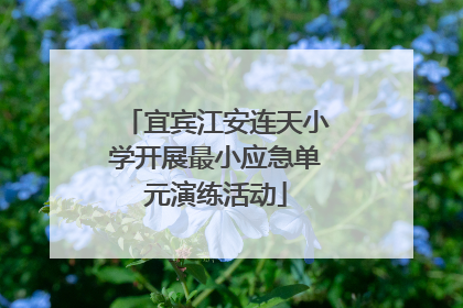 宜宾江安连天小学开展最小应急单元演练活动