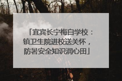 宜宾长宁梅白学校：镇卫生院进校送关怀，防暑安全知识润心田
