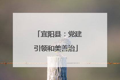 宜阳县：党建引领和美善治