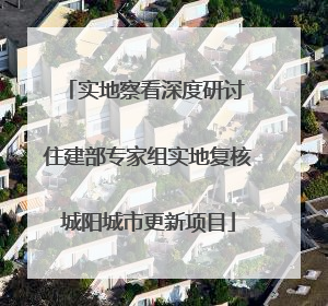 实地察看深度研讨 住建部专家组实地复核城阳城市更新项目