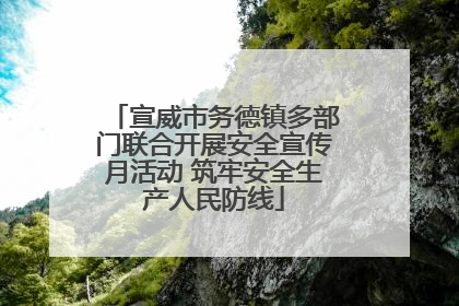 宣威市务德镇多部门联合开展安全宣传月活动 筑牢安全生产人民防线