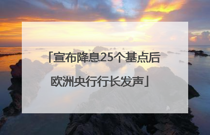 宣布降息25个基点后 欧洲央行行长发声