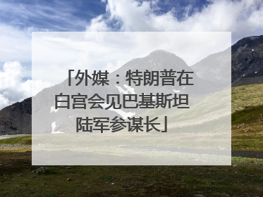 外媒：特朗普在白宫会见巴基斯坦陆军参谋长