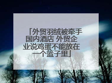 外贸羽绒被牵手国内酒店 外贸企业说鸡蛋不能放在一个篮子里