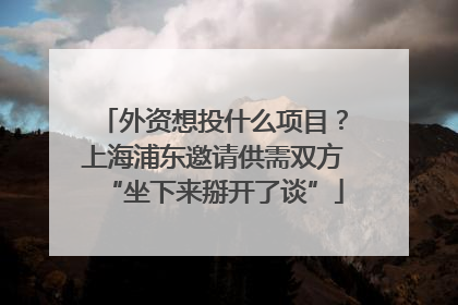 外资想投什么项目？上海浦东邀请供需双方“坐下来掰开了谈”