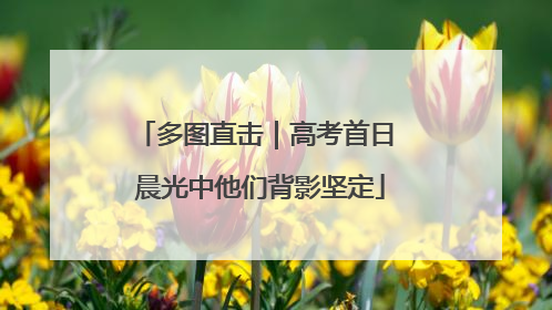 多图直击｜高考首日 晨光中他们背影坚定